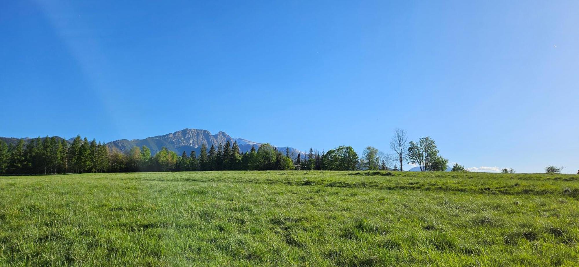 Marol Wynajem Pokoi Apartman Zakopane Kültér fotó