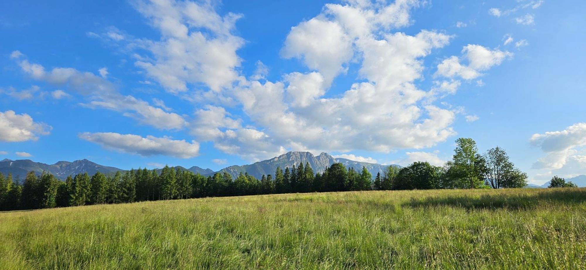 Marol Wynajem Pokoi Apartman Zakopane Kültér fotó